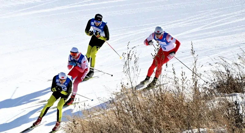 北京冬奧會有哪些項目？在哪些場館進行？