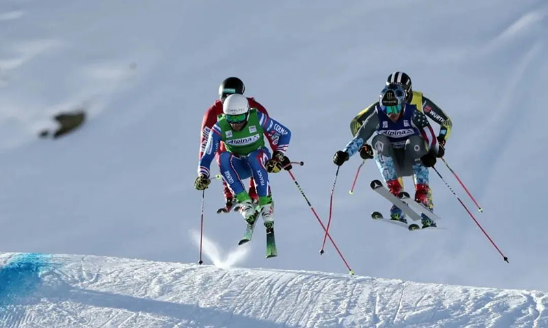 北京冬奧會有哪些項目？在哪些場館進行？