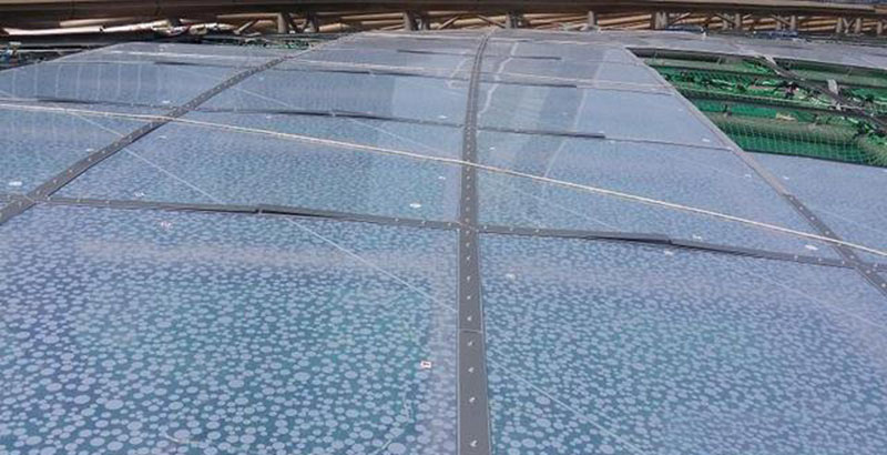 ETFE膜結(jié)構(gòu)有哪些種類？ETFE膜結(jié)構(gòu)是如何分類的？