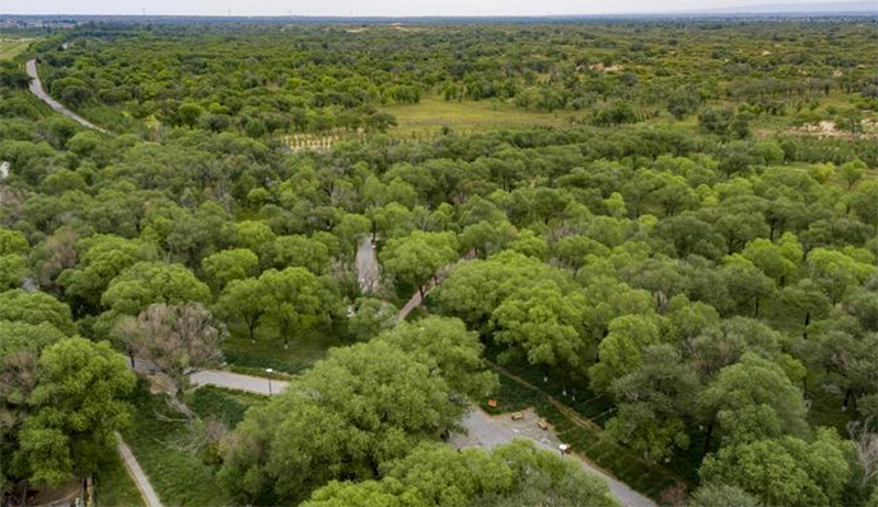 陜西定邊馬蓮灘沙漠公園鋼膜結構工程開始施工