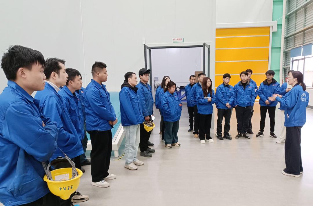 凝“新”聚力，奮勇前行|新員工崗前專業知識培訓，開啟征程新篇章